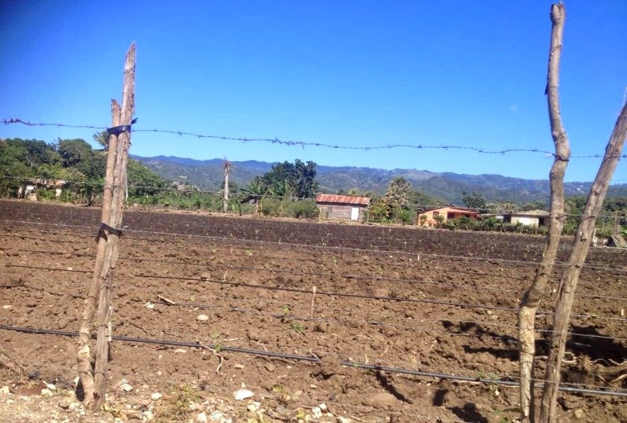 Terreno para la construcción de nuevas aulas escolares en San Francisco abajo